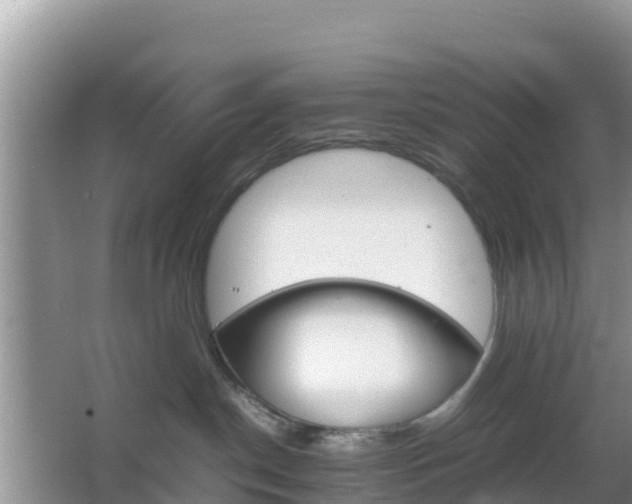 X0000066540190200603241421