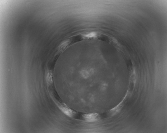 X0000066540191200603241421