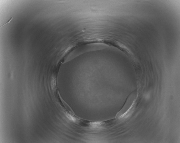 X0000066540192200603241421