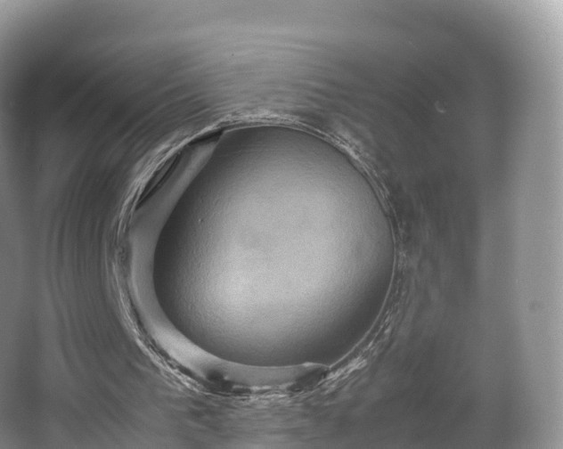 X0000066540193200603241420