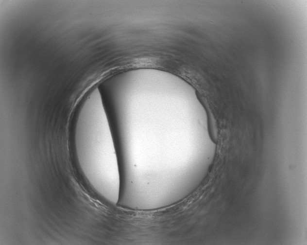 X0000066540194200603241420