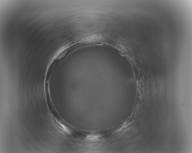 X0000066540196200603241420