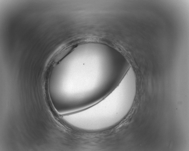 X0000066540197200603241420