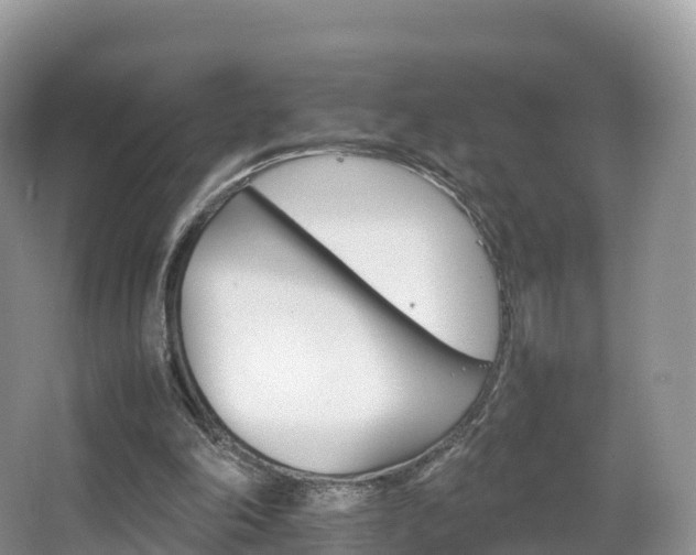 X0000066540198200603241420