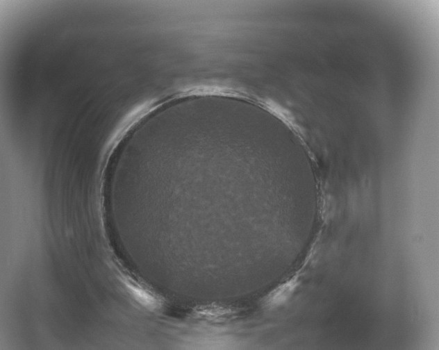 X0000066540199200603241420