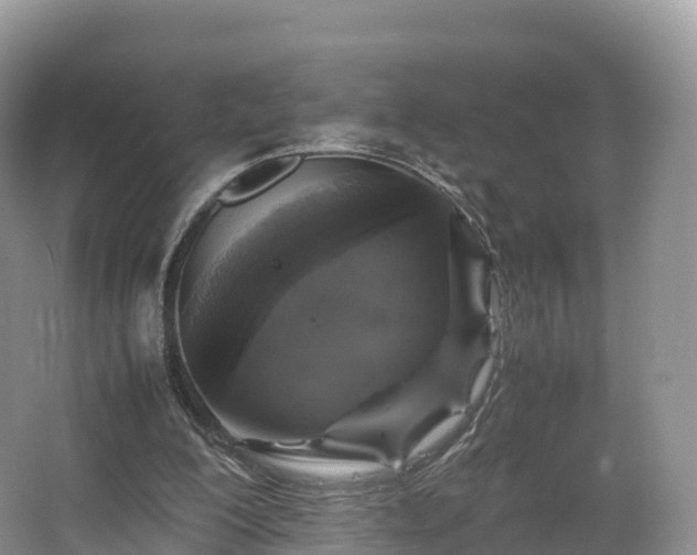 X0000066540200200603241420