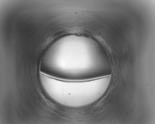 X0000066540201200603241420