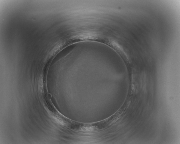 X0000066540202200603241420