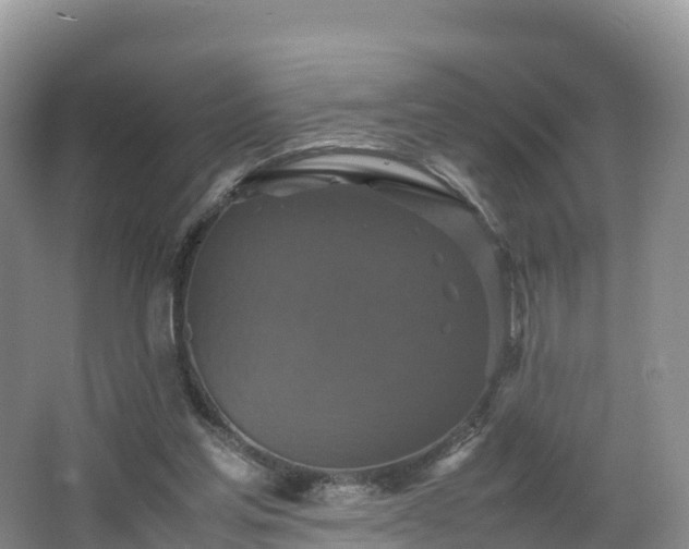 X0000066540205200603241420