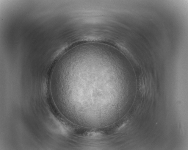 X0000066540208200603241420