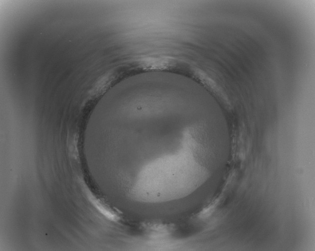 X0000066540209200603241420