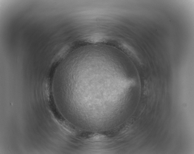 X0000066540210200603241420