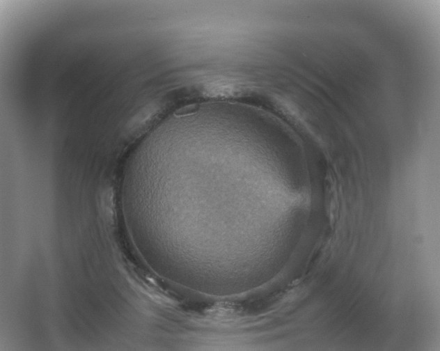 X0000066540211200603241420