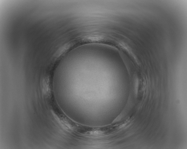 X0000066540212200603241420