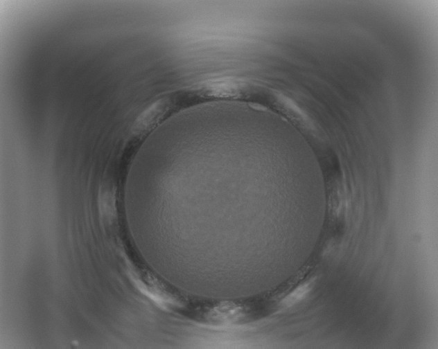 X0000066540213200603241420