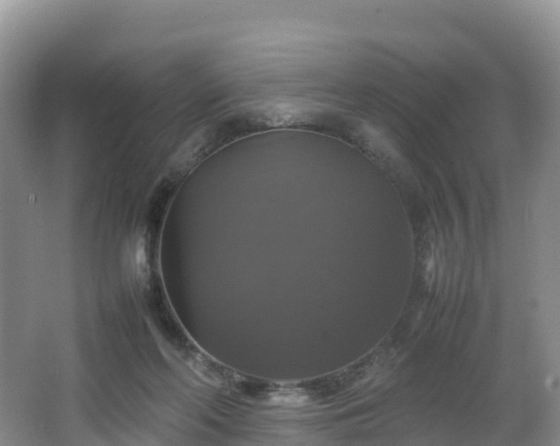 X0000066540214200603241420