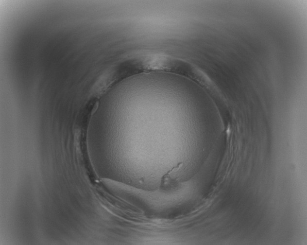 X0000066540217200603241420