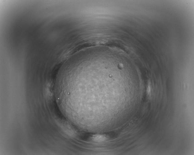 X0000066540218200603241420