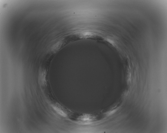 X0000066540219200603241420