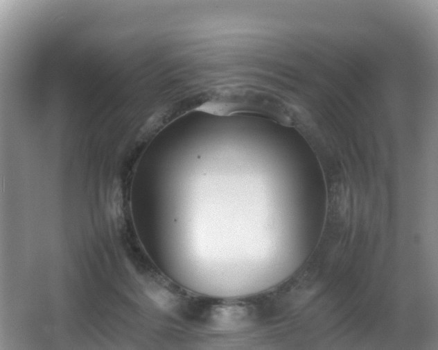 X0000066540220200603241419