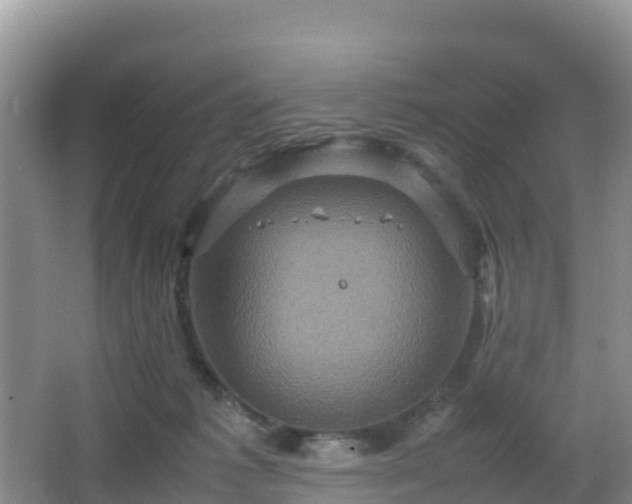 X0000066540221200603241419