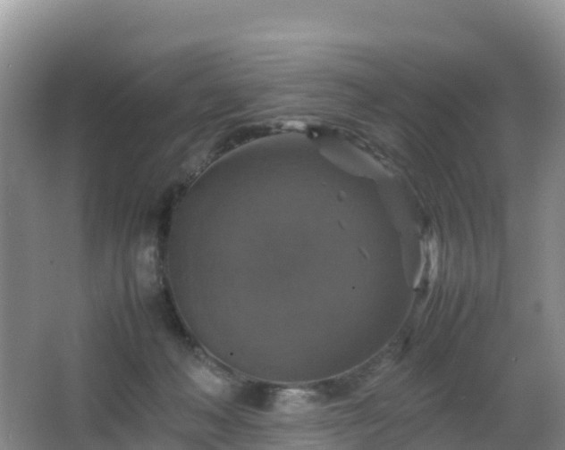 X0000066540222200603241419