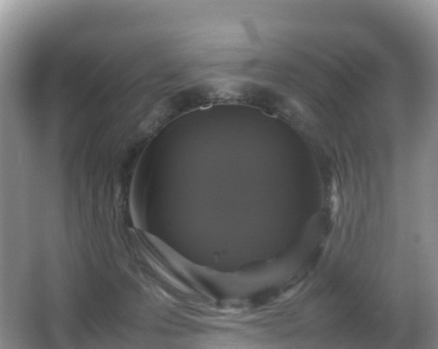 X0000066540223200603241419