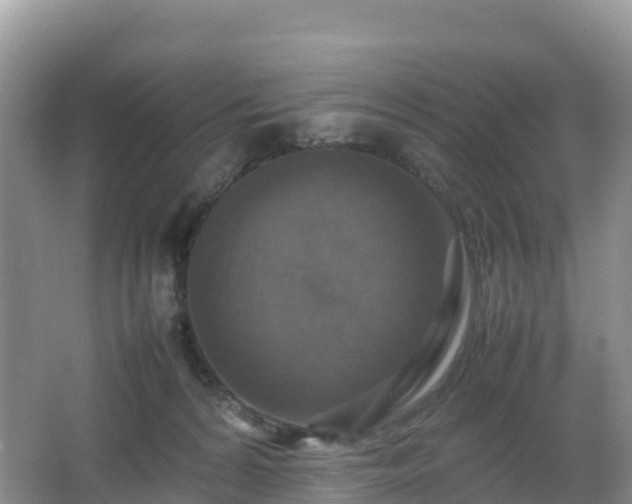 X0000066540224200603241419