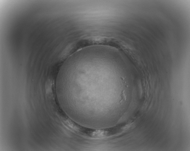 X0000066540225200603241419