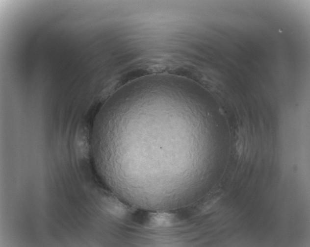 X0000066540226200603241419