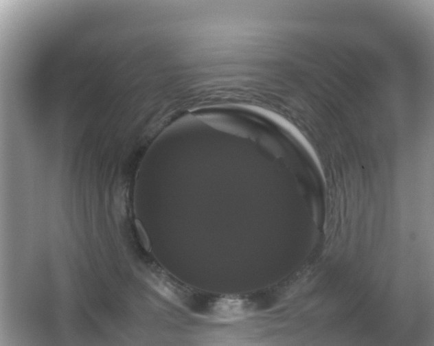 X0000066540227200603241419