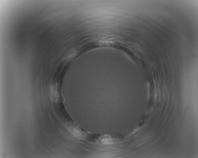 X0000066540228200603241419