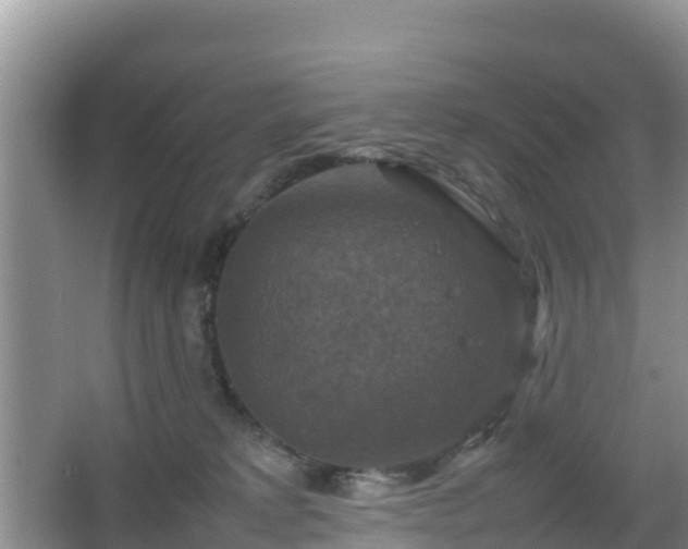 X0000066540229200603241419