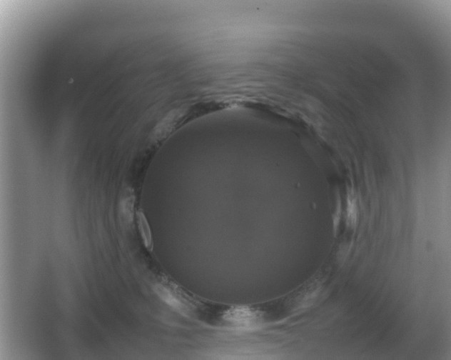 X0000066540231200603241419