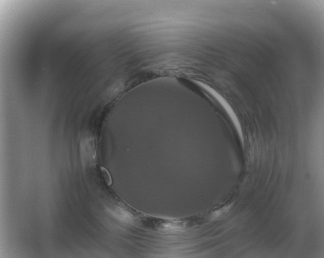 X0000066540232200603241419