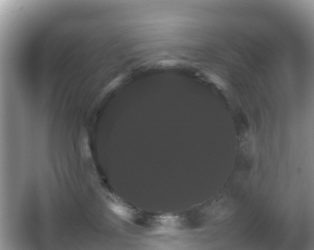 X0000066540233200603241419