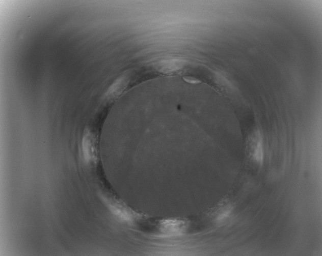 X0000066540234200603241419