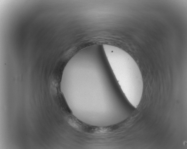 X0000066540235200603241419