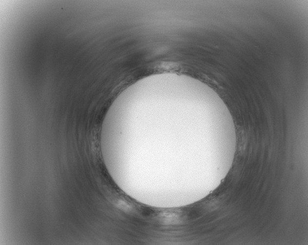 X0000066540236200603241419