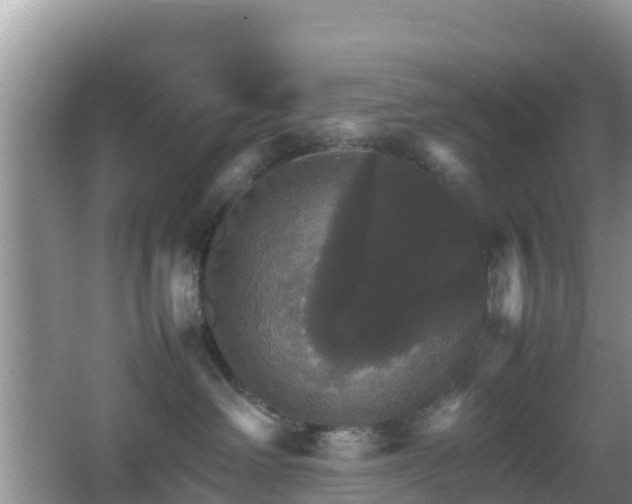 X0000066540238200603241419