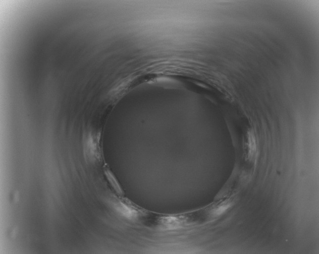 X0000066540239200603241419