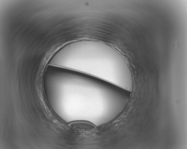 X0000066540241200603241418