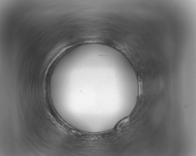 X0000066540243200603241418