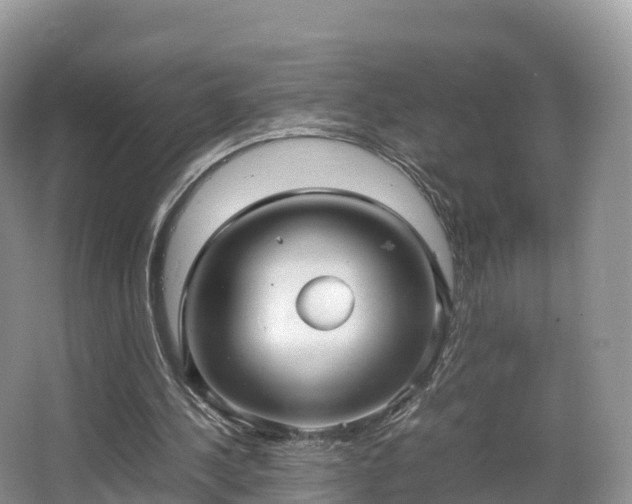 X0000066540244200603241418