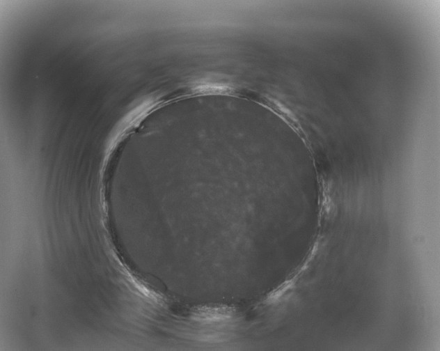 X0000066540245200603241418