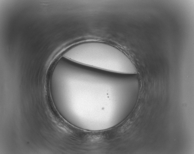 X0000066540247200603241418