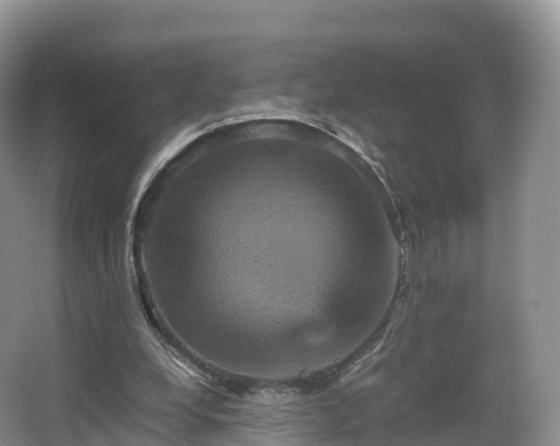 X0000066540248200603241418