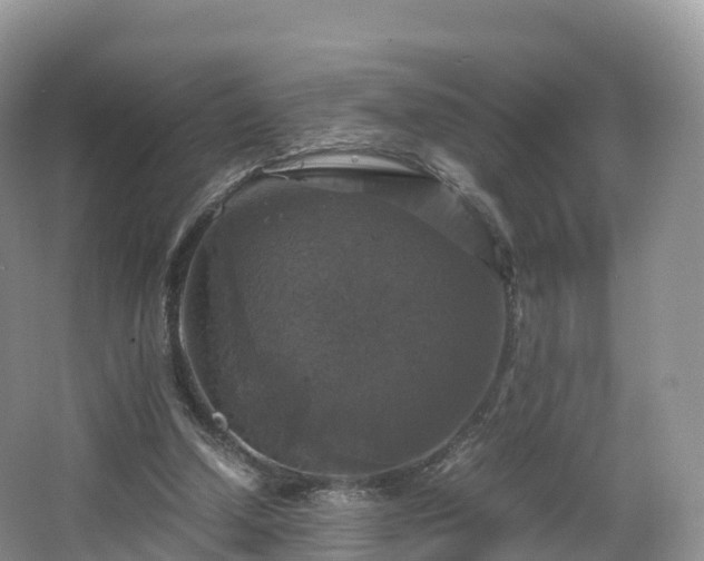 X0000066540250200603241418