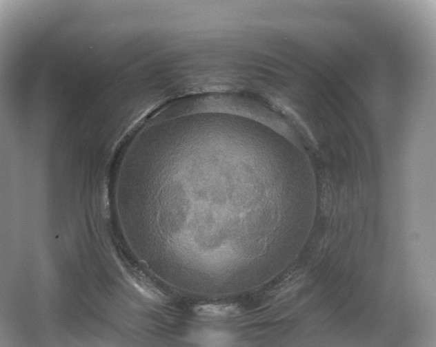 X0000066540251200603241419