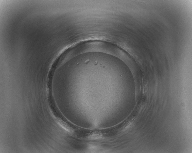 X0000066540252200603241419